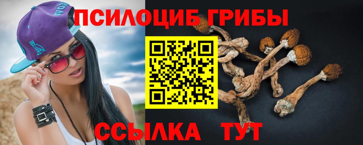 продажа наркотиков  Галлюциногенные грибы прущие грибы  Вход с VPN  Усть-Илимск 